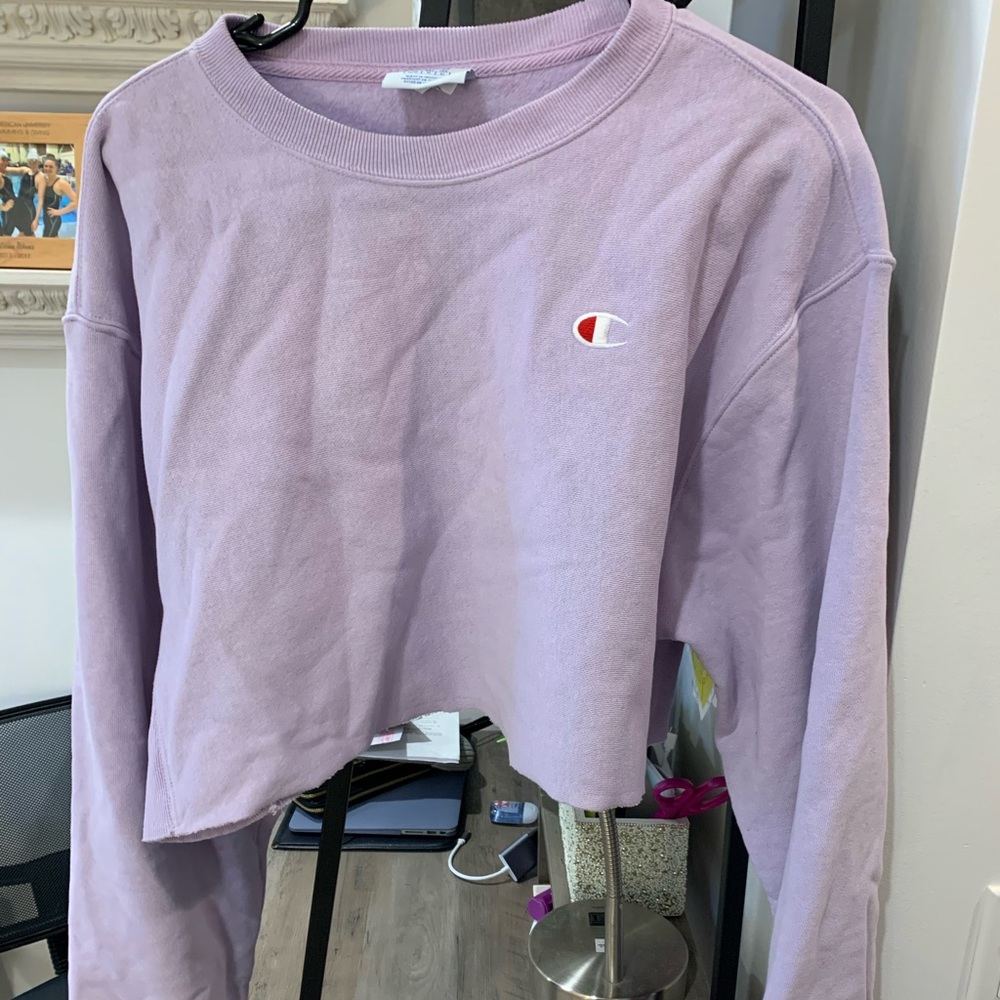 Champion cropped sweater